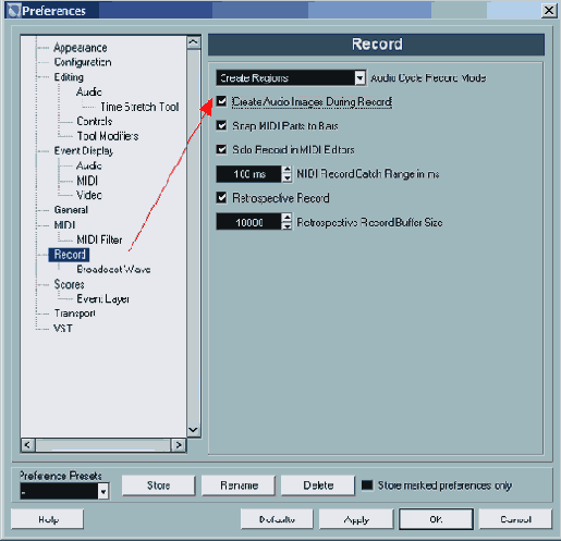  Create Images During Record