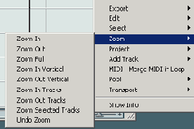     Nuendo Project